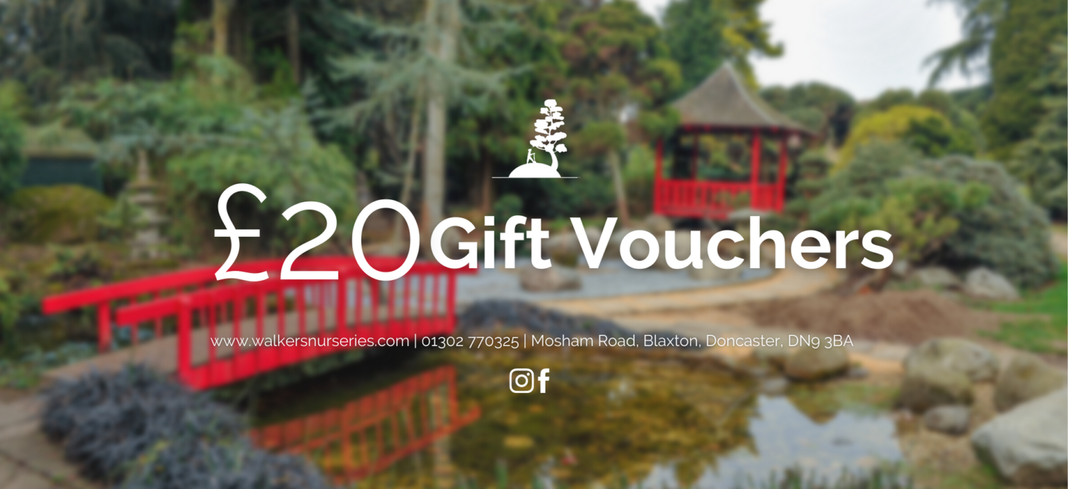 £20 Restaurant Gift Voucher Walkers Nurseries