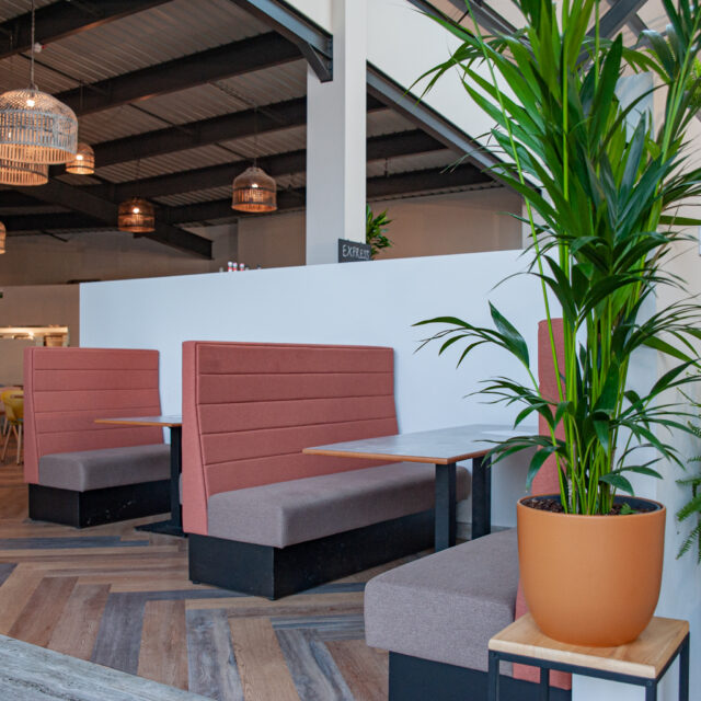 The Glasshouse Cafe Walkers Nurseries